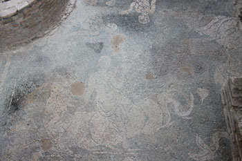 Villa Romana Di Palazzi Di Casignana - Sala Delle Nereidi, Particolare Del Mosaico